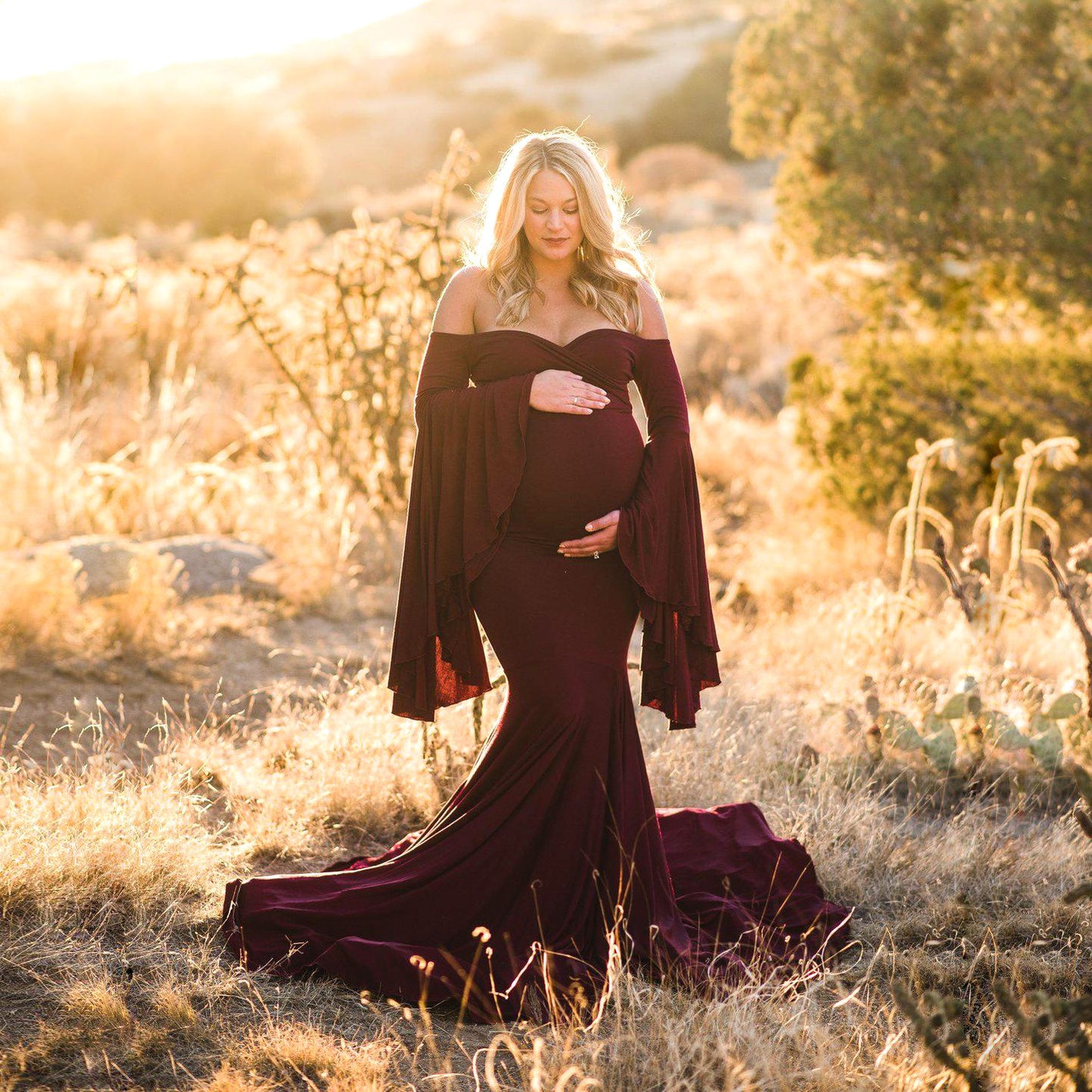 Maternity Ruffle Sleeve Trailing Long Dress