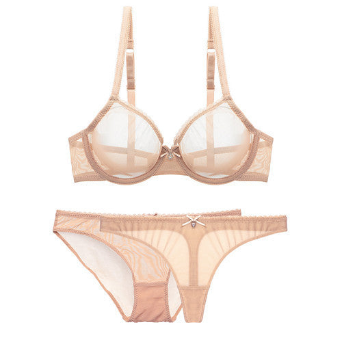 Transparent mesh bra set